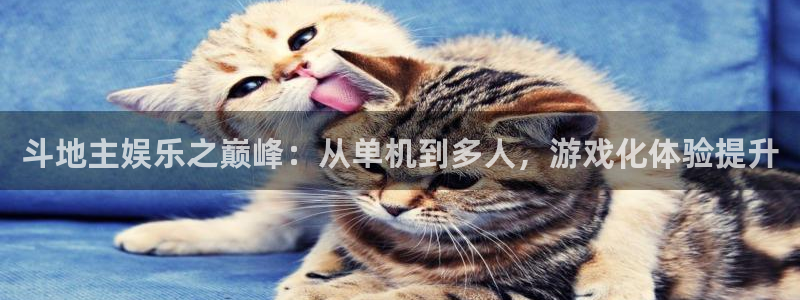 益达娱乐代理