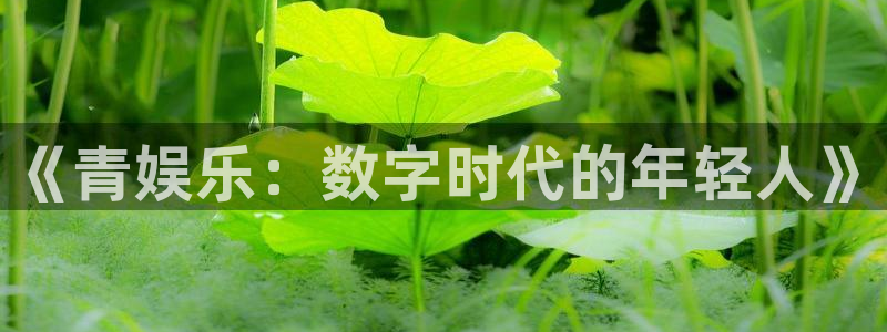 益达娱乐在线登录入口
